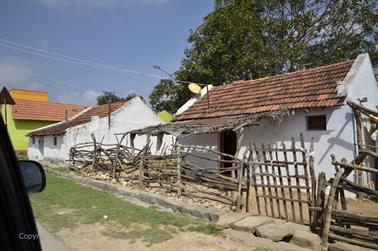 On Route to Ooty_DSC5194_H600